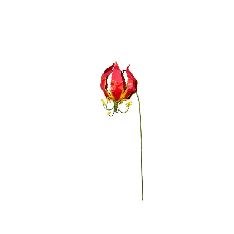 Lys de Feu (à l'unité) — AP18025(1)