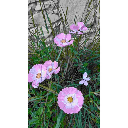 Cosmos (à l'unité) — AP18049(1)