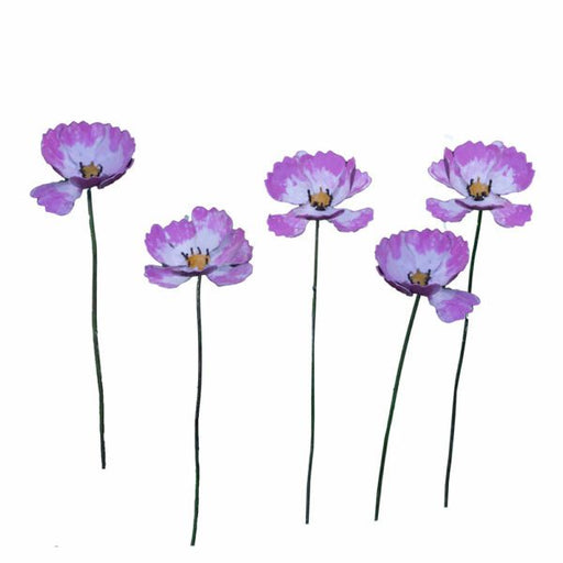 Cosmos - Bouquet de 5 — AP18049