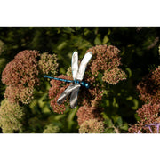 Libellule à fixer Bleue — AP19001