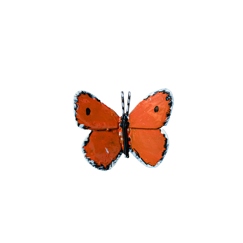 Papillon cuivré des marais (Orange) à fixer — AP19010