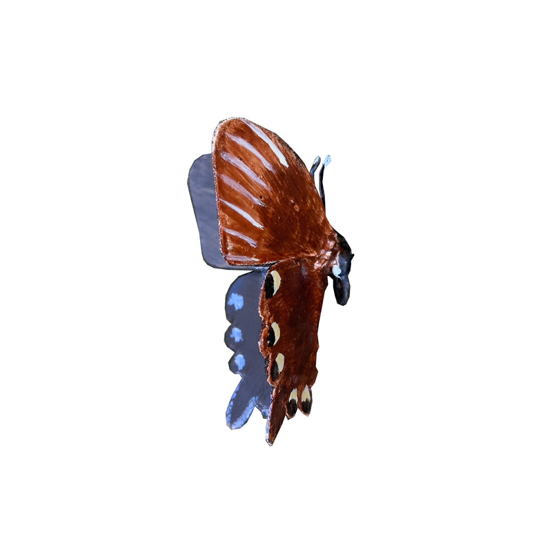 Papillon blumei (noir) à fixer — AP19012