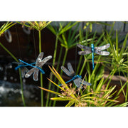 Libellules bleues à suspendre — AP19021