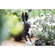 Lapin assis oreilles droite — AP22000(1)