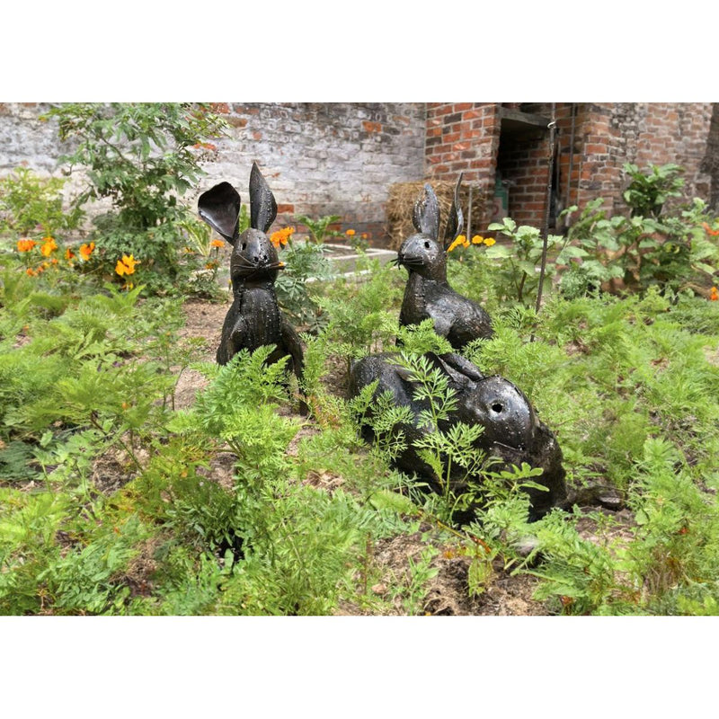 Lapin Lot de 3 — AP22000