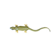Lézard vert occidental droit — AP22007d