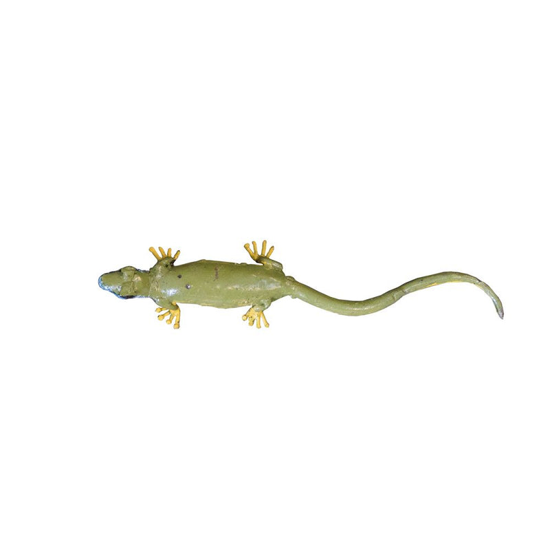 Lézard vert occidental droit — AP22007d