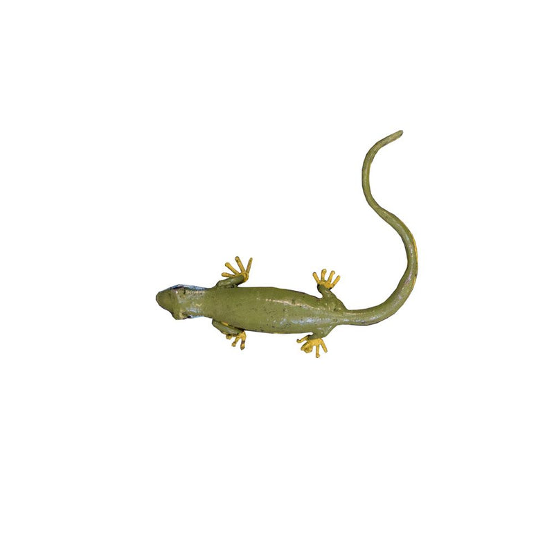 Lézard vert occidental ondulé — AP22007o