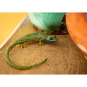 Lézard vert occidental rond — AP22007r