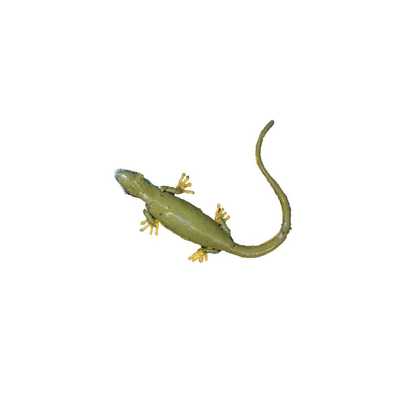 Lézard vert occidental rond — AP22007r