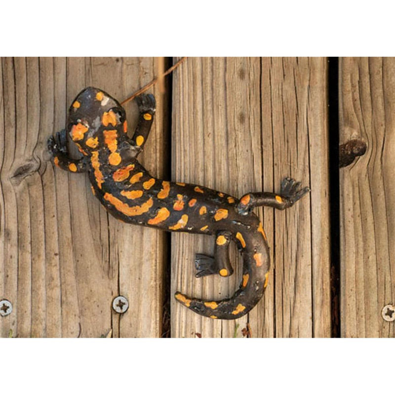 Salamandre tachetée ondulée — AP22014o