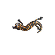 Salamandre tachetée ondulée — AP22014o
