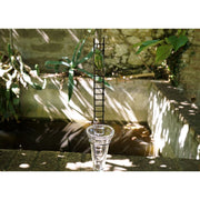 Pluviomètre Grenouille Rainette verte — AP23003