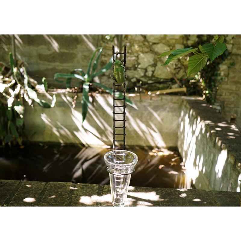 Pluviomètre Grenouille Rainette verte — AP23003