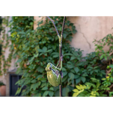 Tuteur Grenouille rainette verte — AP23007