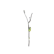 Tuteur Grenouille rainette verte — AP23007