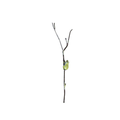 Tuteur Grenouille rainette verte — AP23007
