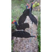Silhouette Pintade de Numidie (modèle3) — AP23013(modèle3)