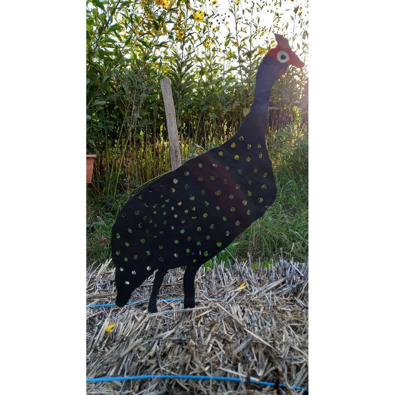 Silhouette Pintade de Numidie (modèle5) — AP23013(modèle5)