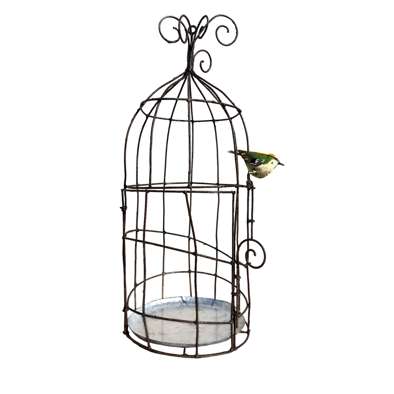 Cage décorative porte-pot avec oiseau au choix — Arrosoir & Persil — Roitelet
