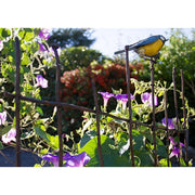 Barrière décorative avec oiseau au choix — Arrosoir & Persil — Mésange