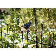 Barrière décorative avec oiseau au choix — Arrosoir & Persil — Rouge queue
