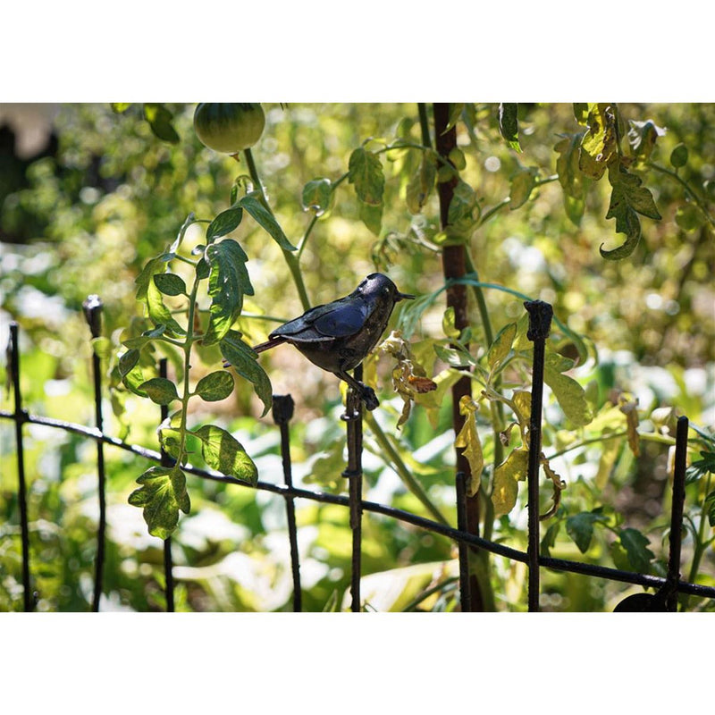 Barrière décorative avec oiseau au choix — Arrosoir & Persil — Rouge queue