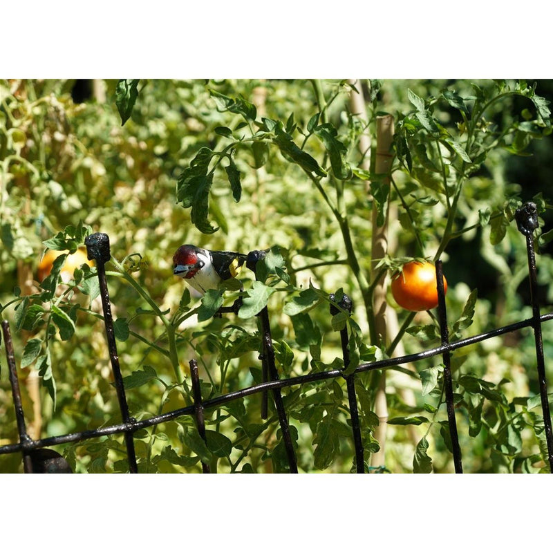Barrière décorative avec oiseau au choix — Arrosoir & Persil — Chardonneret