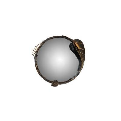 Miroir sorcière scarabée — AP23712