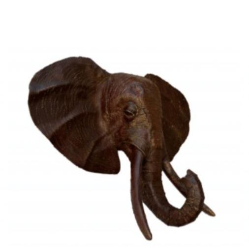 Trophée Eléphant — AP25011