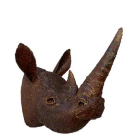 Trophée Rhinocéros — AP25012