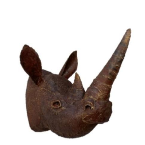 Trophée Rhinocéros — AP25012