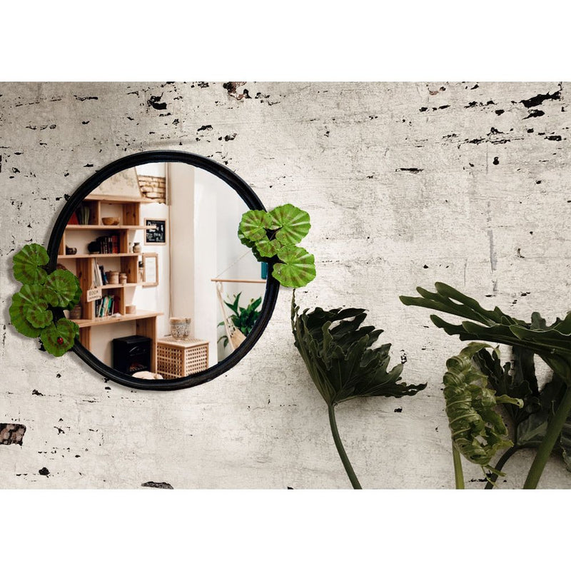 Miroir Coccinelle et géranium — AP25015