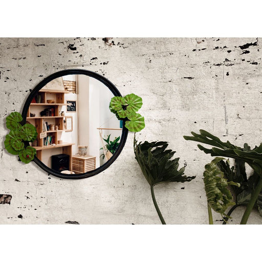 Miroir Coccinelle et géranium — AP25015
