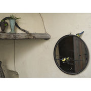 Miroir Mésange charbonnière — AP25016