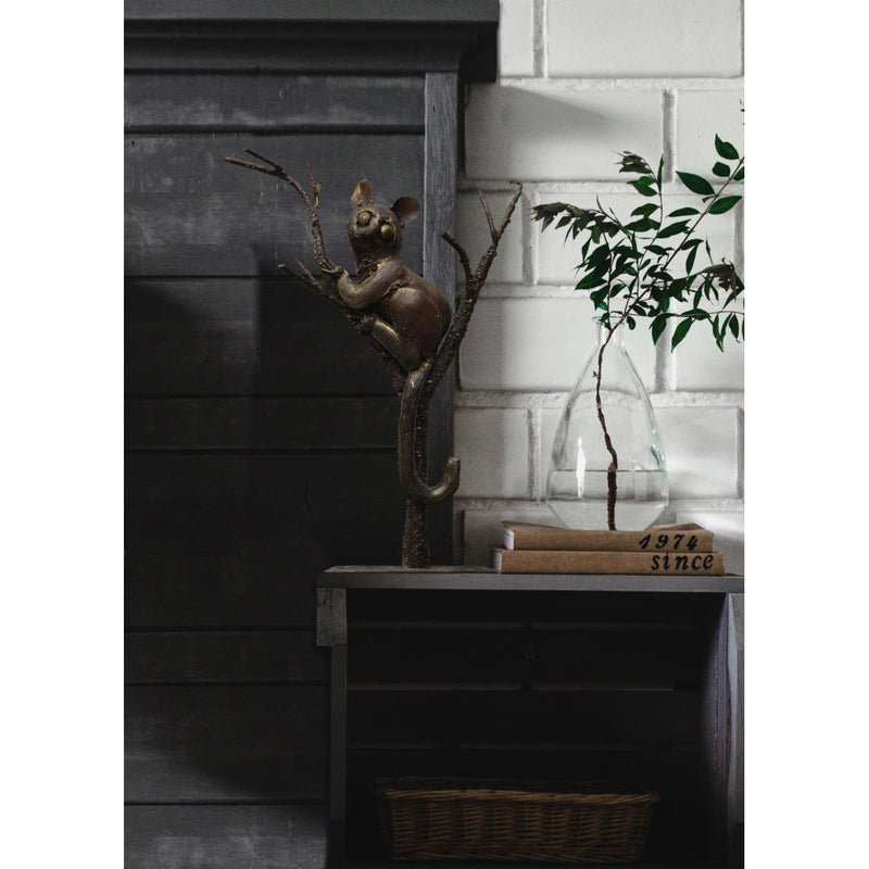 Bush Baby - Galago — AP25021