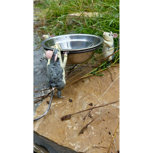 Gamelle chat 3 Souris — AP25023