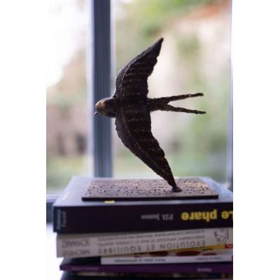 Hirondelle rustique "en vol" sur socle — AP25026