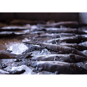 Sardine à fixer — AP26011-SARDINE