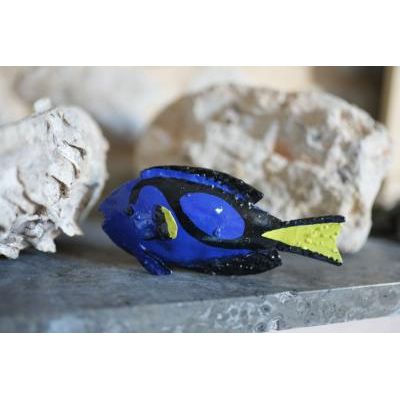 Poisson Chirurgien (Bleu) — AP26050