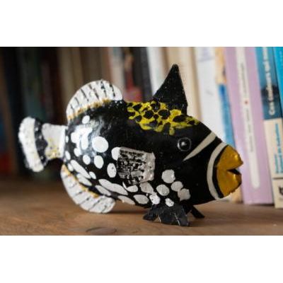 Poisson Baliste Clown (Noir) — AP26052