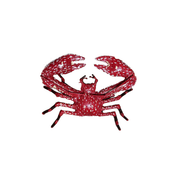 Crabe Porcelaine Orange — AP26062