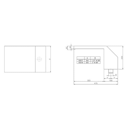 Astral Pool Cascade inox 316 - 300mm x 1½" 8420382502862 5577
