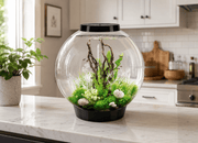 Biorb by Oase Aquarium BiOrb Classic 105 MCR Noir - 105L 822728008249 45780