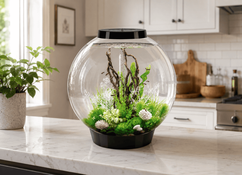 Biorb by Oase Aquarium BiOrb Classic 105 MCR Noir - 105L 822728008249 45780