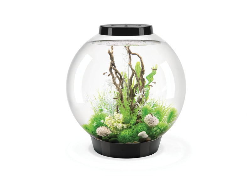 Biorb by Oase Aquarium BiOrb Classic 105 MCR Noir - 105L 822728008249 45780