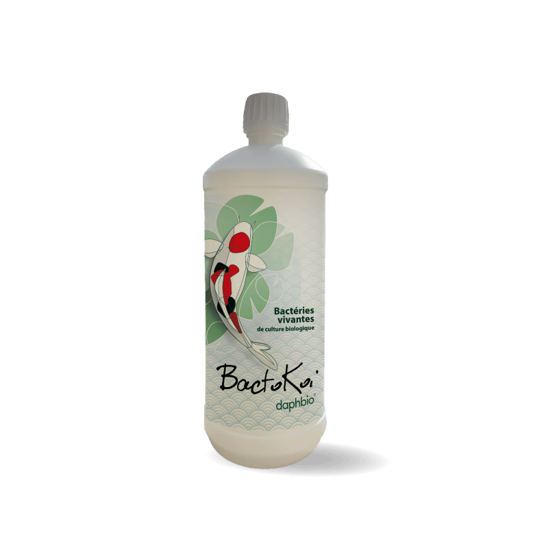 DaphBio Bactéries BactoKoï - Bactéries Vivantes de Culture Biologique - DaphBio - 1L 3760300370414 BK1000