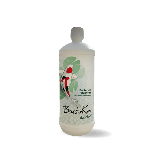 DaphBio Bactéries BactoKoï - Bactéries Vivantes de Culture Biologique - DaphBio - 1L 3760300370414 BK1000