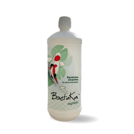 DaphBio Bactéries BactoKoï - Bactéries Vivantes de Culture Biologique - DaphBio - 1L 3760300370414 BK1000