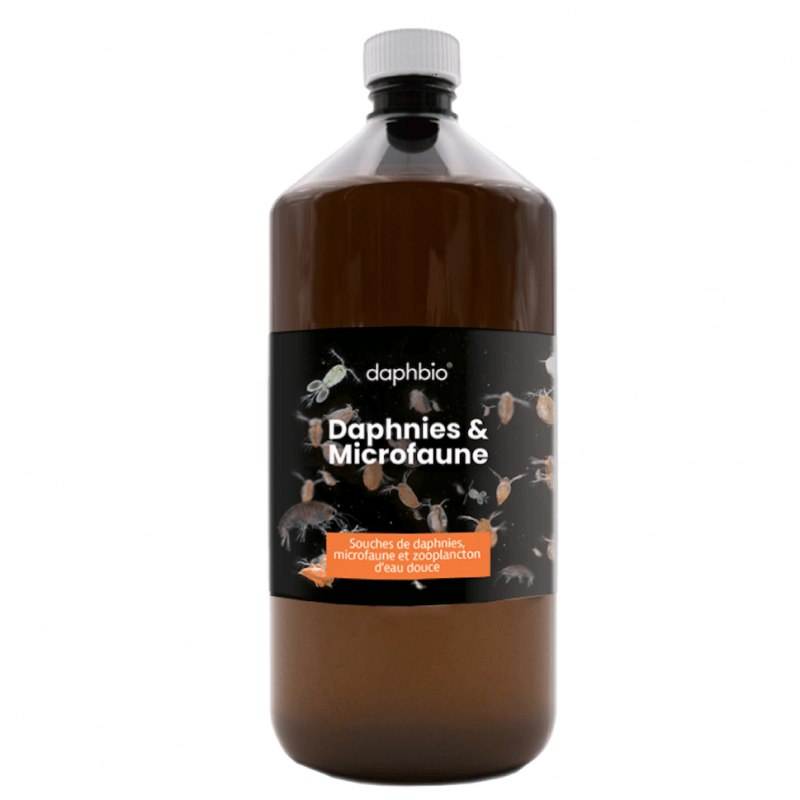 DaphBio Daphnies Daphnies & Microfaune vivante 1L - DaphBio 3760300370308 DMV1000